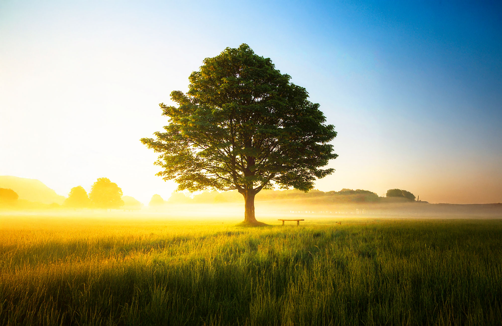 Welcome to Your Future Wealth Ltd.